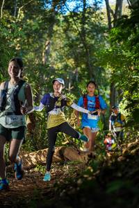 BIB: 1347
                            <button type="button" onclick="openModal(19230183)" class="btn btn-primary btn-sm float-right btn-popup" data-toggle="modal" data-target=".modal-high-quality">
                        <i class="fas fa-shopping-cart"></i> Add to Cart
                    </button>
                                            <button type="button" onclick="isThisMe(19230183, true)" class="btn btn-success btn-sm float-right btn-popup btn-isme hidden" data-toggle="tooltip" data-placement="bottom" title="นี่คือรูปของคุณใช่ไหม คลิกที่นี่เพื่อเอาเข้าอัลบั้ม">
                        <i class="fas fa-plus"></i> Add to album
                    </button>
                    <button type="button" onclick="isThisMe(19230183, false)" class="btn btn-warning btn-sm float-right btn-popup btn-isnotme hidden">
                        <i class="fas fa-ban"></i> Remove from album
                    </button>